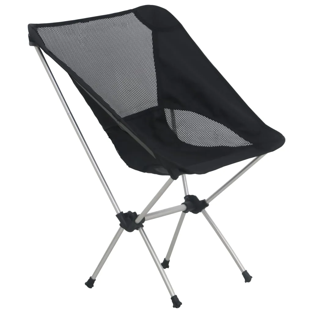 2x Folding Camping Chairs with Carry Bag 54x50x65 cm Aluminium