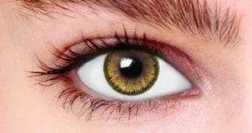 Brown Tone 2 Contact Lenses (90 days)