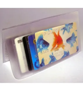 Clear Plastic Wallet Windows - Secretary