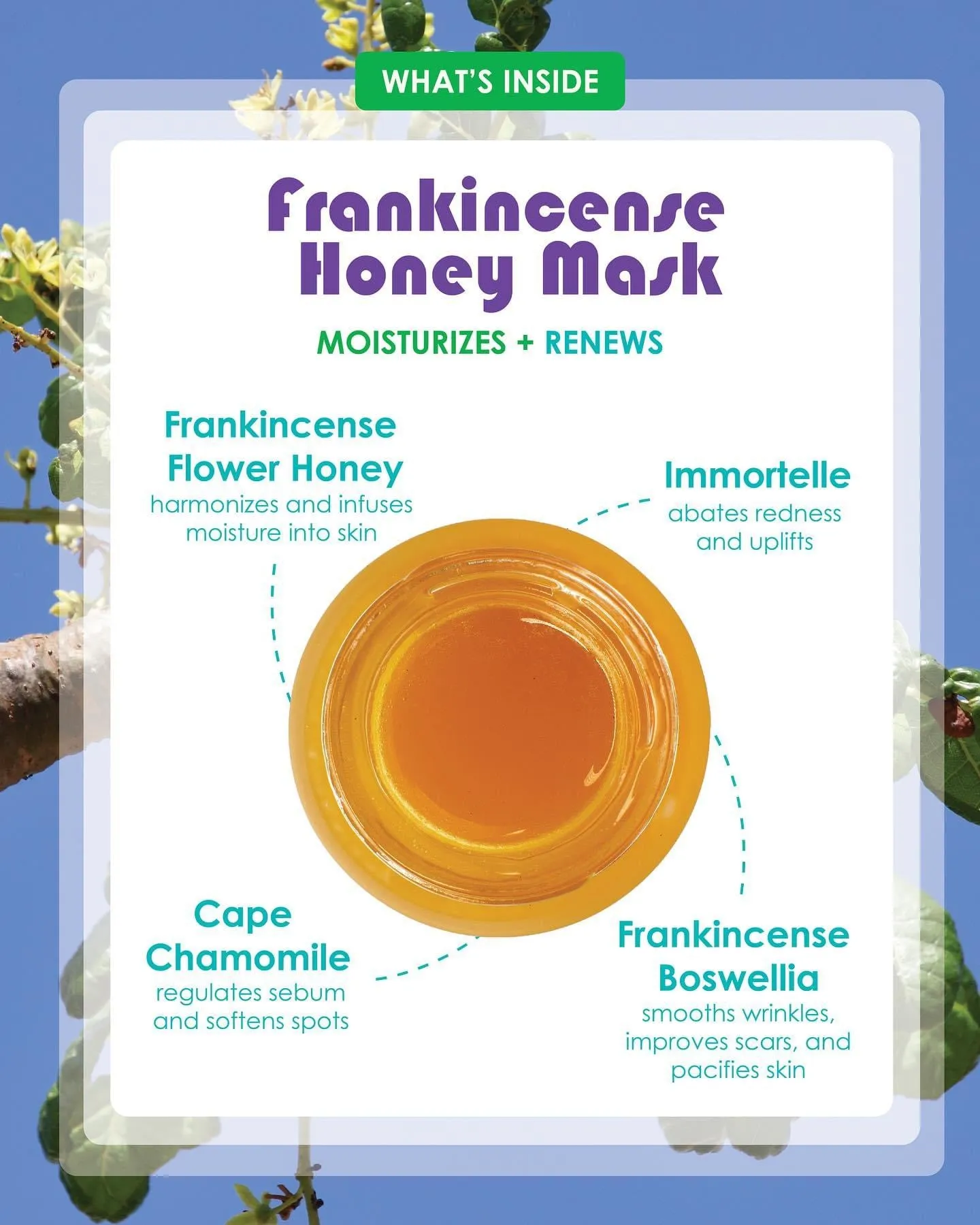 Frankincense & Honey Mask - Living Libations