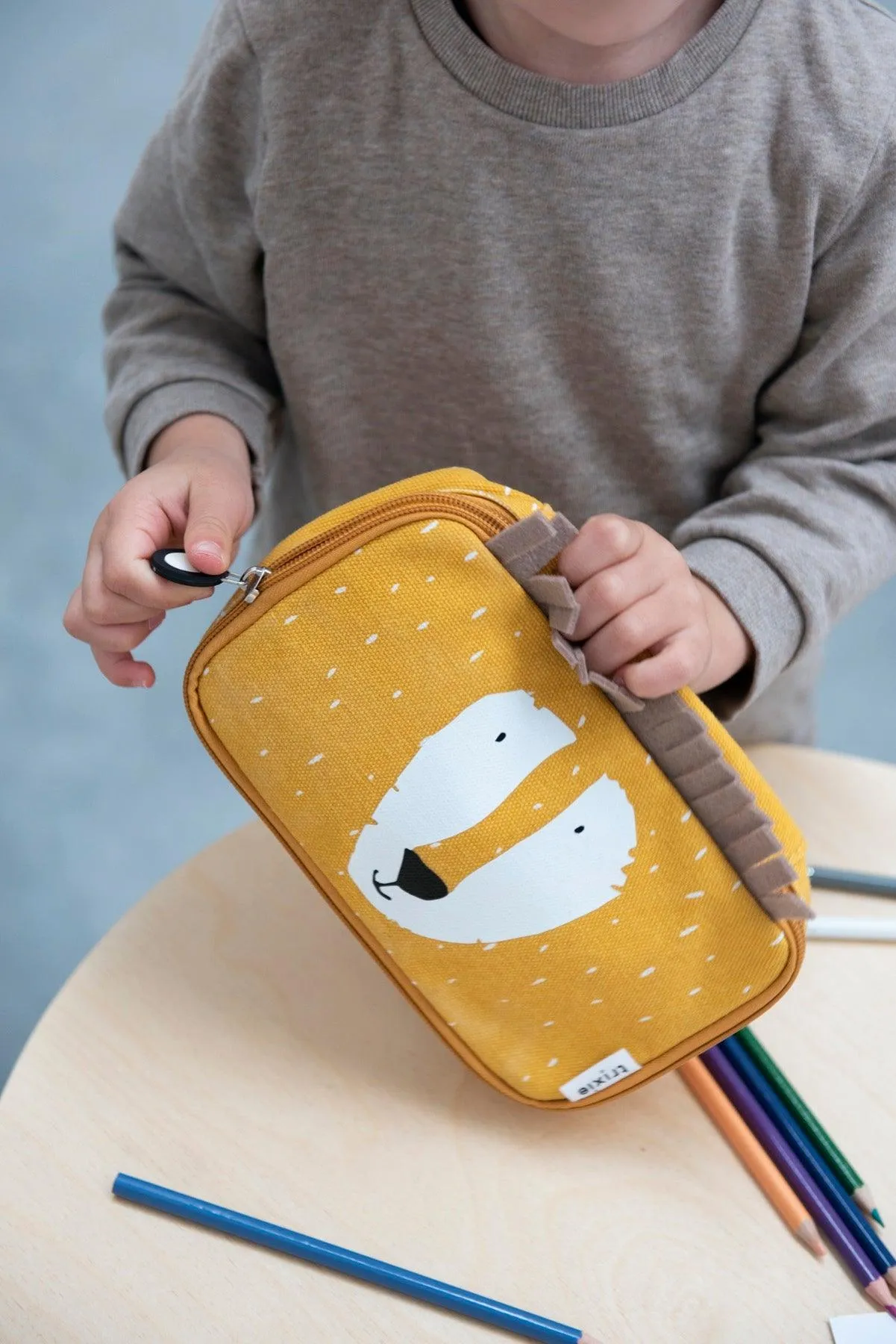 Pencil Case Rectangular - Mr. Lion